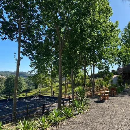 Equinatura - Silver Coast Farm stay